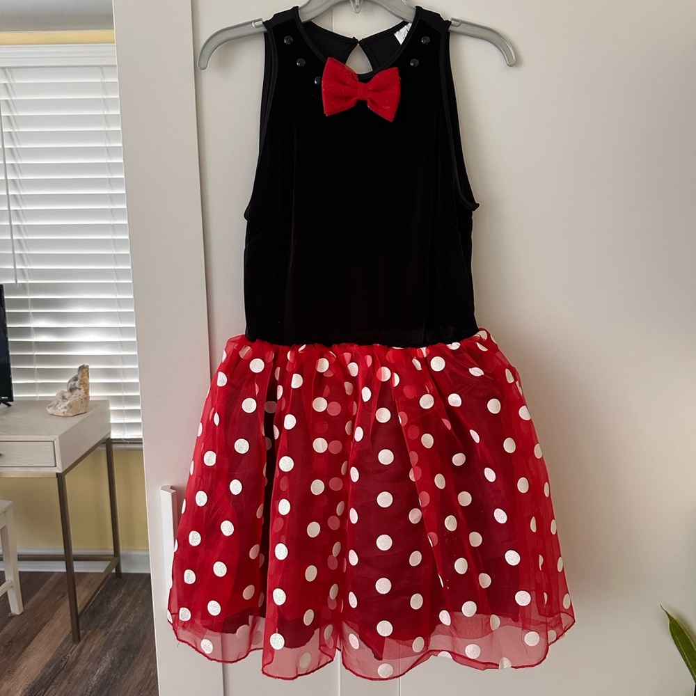 Disney Minnie Mouse Costume